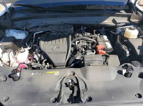 5TDAAAB66SS032931 2025 LEXUS TX White Widok komory silnika