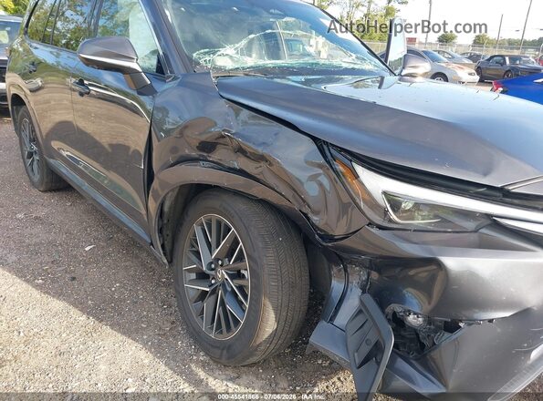 5TDAAAB66SS035540 2025 LEXUS TX 350 Gray Widok z przodu