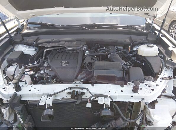 5TDABAB65SS009489 2025 LEXUS TX 500H White Vista trasera