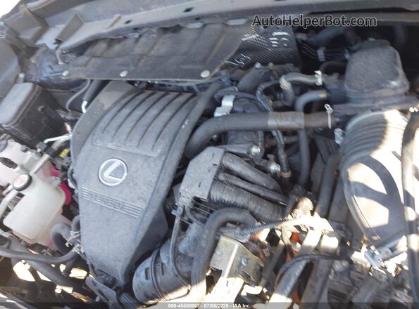 5TDABAB69RS007285 2024 LEXUS TX 500H Blue Vista trasera