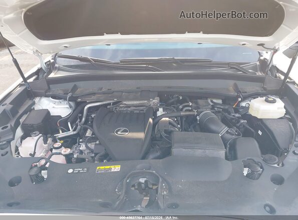5TDABAB69SS007972 2025 LEXUS TX 500H White Вид ззаду