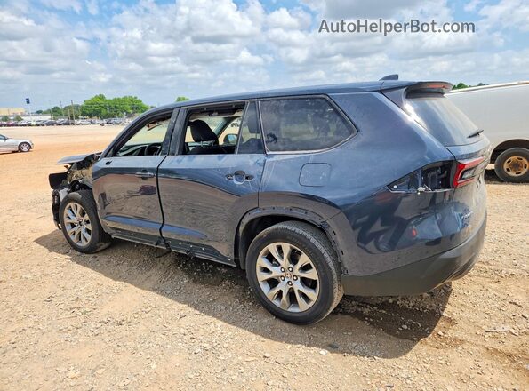 5TDACAB50SS052688 2025 TOYOTA GRAND Blue Հետևի ձախ