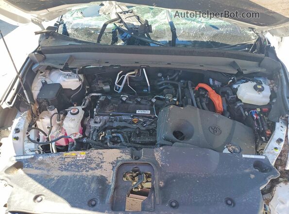 5TDACAB53SS054483 2025 TOYOTA GRAND Белый Вид задней части салона