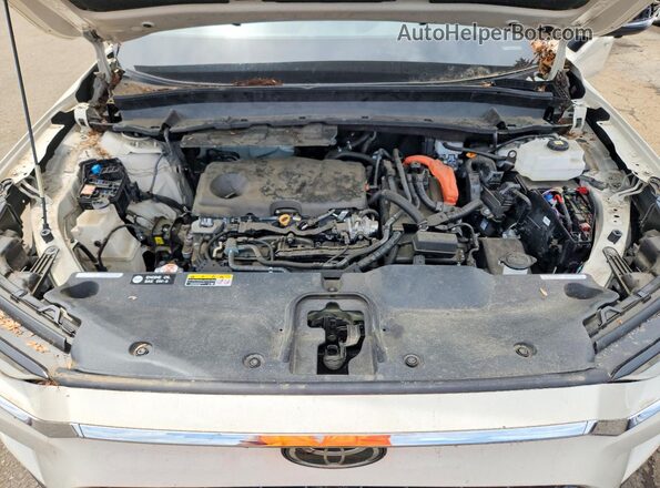 5TDACAB58RS018797 2024 TOYOTA GRAND Cream Շարժիչի բաժամունքի տեսք
