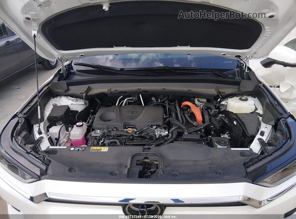 5TDACAB59SS056528 2025 TOYOTA GRAND HIGHLANDER White Вид ззаду