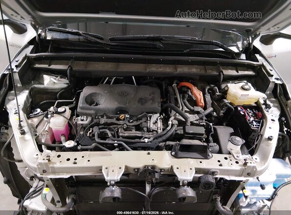 5TDBBRCH6LS507978 2020 TOYOTA HIGHLANDER Silver Вид ззаду
