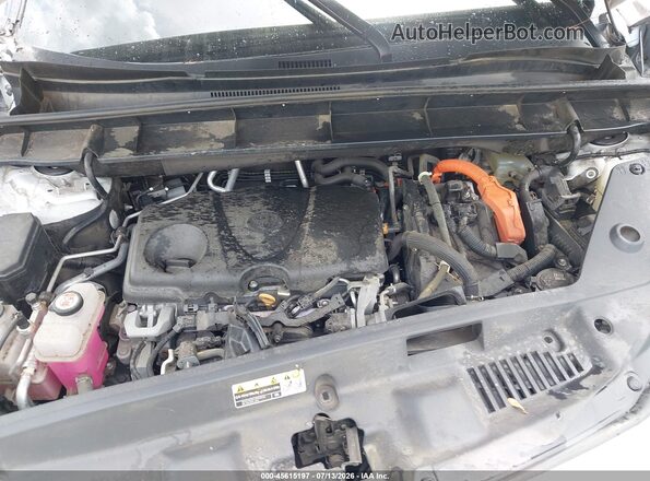 5TDDBRCH6LS004413 2020 TOYOTA HIGHLANDER White Widok z tyłu