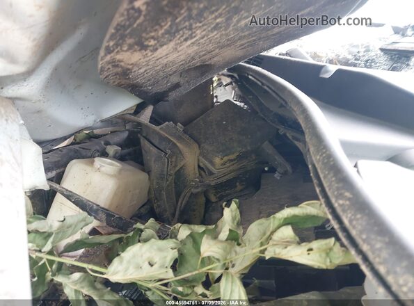 5TDDK3DC5GS141994 2016 TOYOTA SIENNA Белый Вид сзади