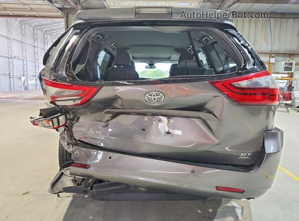 5TDDZ3DC9LS228111 2020 TOYOTA SIENNA Серый Вид сзади
