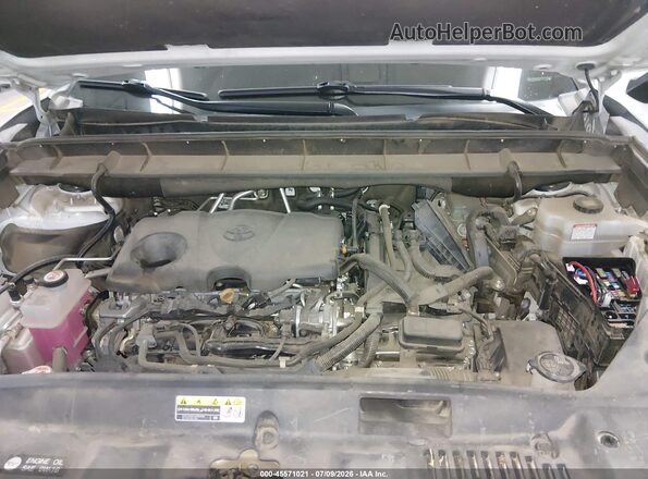 5TDHARAH9LS500801 2020 TOYOTA HIGHLANDER Cream Rear view
