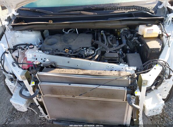 5TDJRKEC1SS234978 2025 TOYOTA SIENNA White უკანა ხედი
