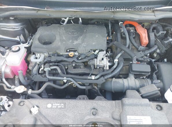 5TDKSKFC8MS011217 2021 TOYOTA SIENNA Gray უკანა ხედი