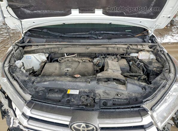 5TDKZRFH1KS569102 2019 TOYOTA HIGHLANDER Белый Вид подкапотного пространства