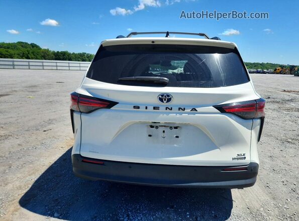 5TDYRKEC6MS026628 2021 TOYOTA SIENNA Белый Вид сзади