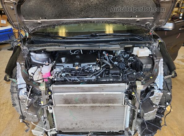 5TDYRKEC6RS212256 2024 TOYOTA SIENNA Gray 