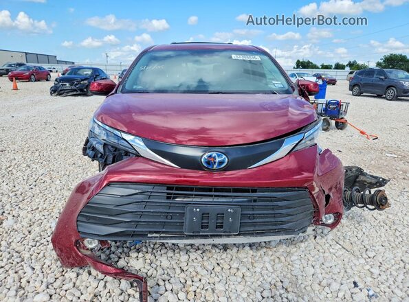 5TDYRKEC8SS285442 2025 TOYOTA SIENNA Темно-бордовый Вид спереди