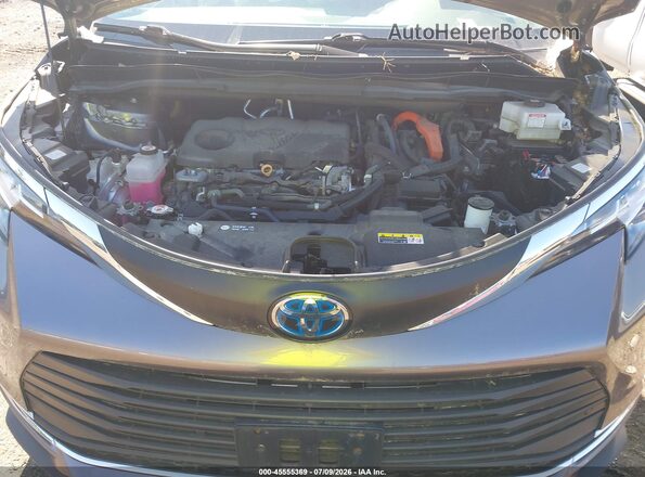 5TDYSKFC4MS037663 2021 TOYOTA SIENNA Gray უკანა ხედი