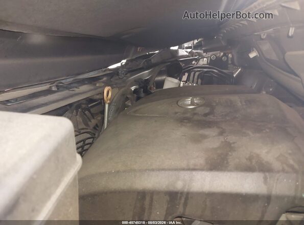 5TDYZ3DC5HS892298 2017 TOYOTA SIENNA Gray Widok z tyłu