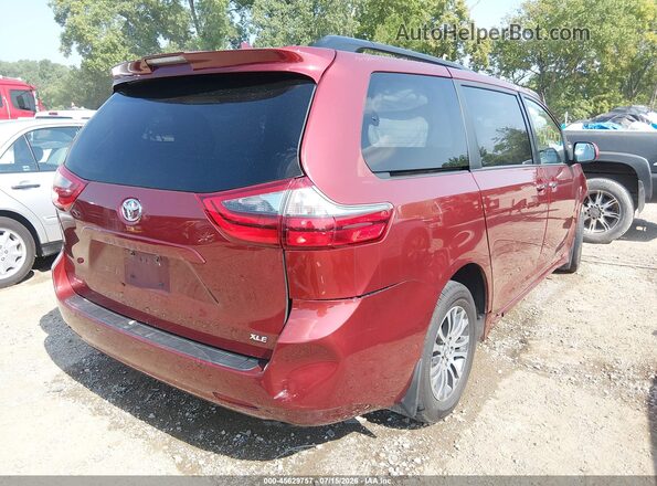 5TDYZ3DC5LS054314 2020 TOYOTA SIENNA Red Հետևի աջ