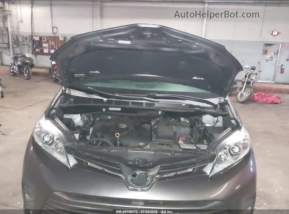 5TDYZ3DC8LS088005 2020 TOYOTA SIENNA Gray Вид ззаду