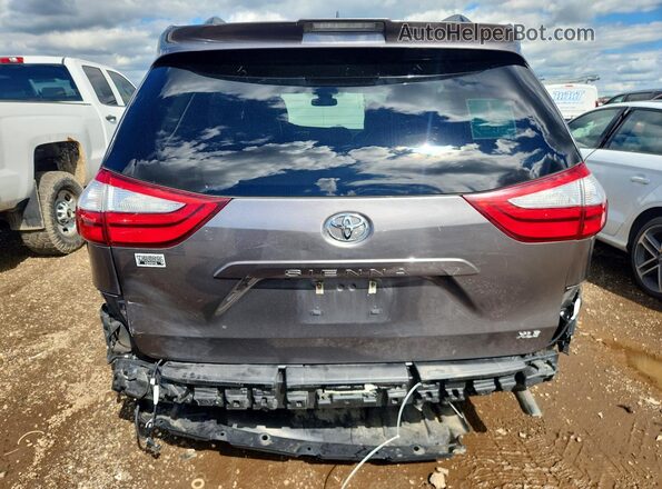 5TDYZ3DC9KS978365 2019 TOYOTA SIENNA Gray Вид ззаду
