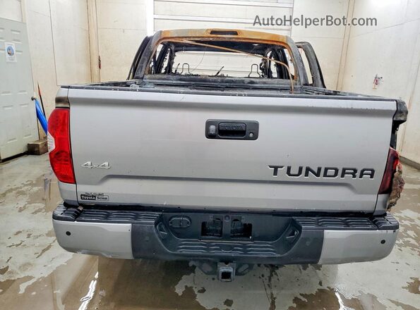 5TFAW5F13GX520274 2016 TOYOTA TUNDRA Silver Rear view