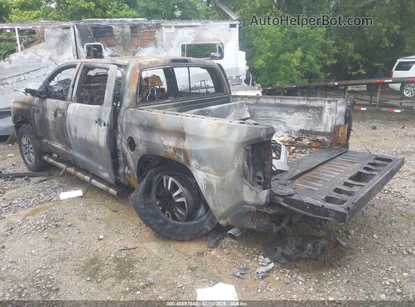 5TFAY5F11KX836937 2019 TOYOTA TUNDRA Silver Հետևի ձախ