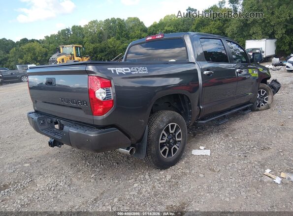 5TFAY5F12MX018359 2021 TOYOTA TUNDRA Gray Հետևի աջ