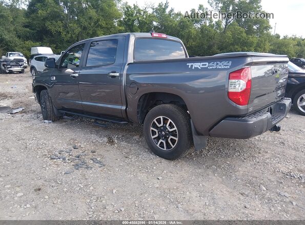 5TFAY5F12MX018359 2021 TOYOTA TUNDRA Gray Հետևի ձախ