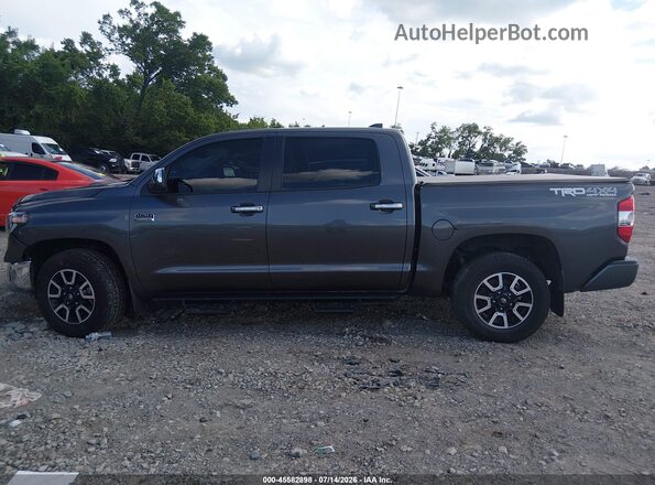 5TFAY5F12MX018359 2021 TOYOTA TUNDRA Gray Սալոնի 360 աստիճան տեսք