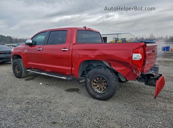 5TFAY5F13LX876566 2020 TOYOTA TUNDRA Красный Задняя левая четверть