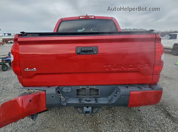 5TFAY5F13LX876566 2020 TOYOTA TUNDRA Красный Вид сзади