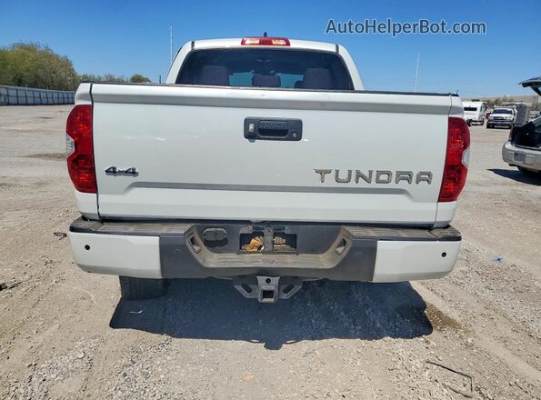 5TFAY5F17MX013254 2021 TOYOTA TUNDRA White Հետևի տեսք