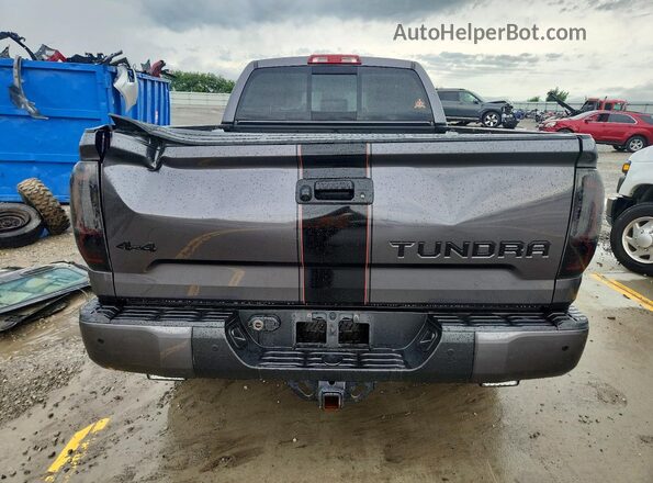 5TFBY5F10KX870050 2019 TOYOTA TUNDRA Charcoal Rear view