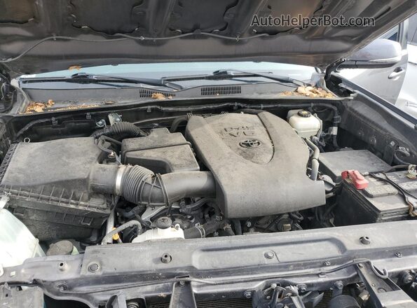 5TFCZ5AN0MX255190 2021 TOYOTA TACOMA Gray Սալոնի հետևի տեսք