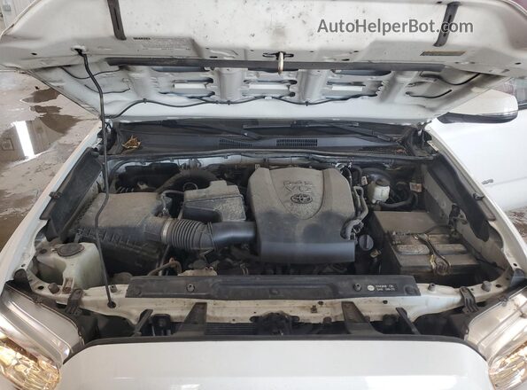 5TFCZ5AN2KX182305 2019 TOYOTA TACOMA White Սալոնի հետևի տեսք