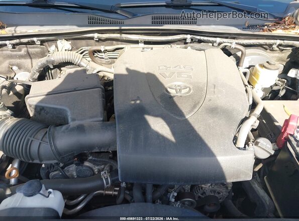 5TFCZ5AN5MX260322 2021 TOYOTA TACOMA Gray უკანა ხედი