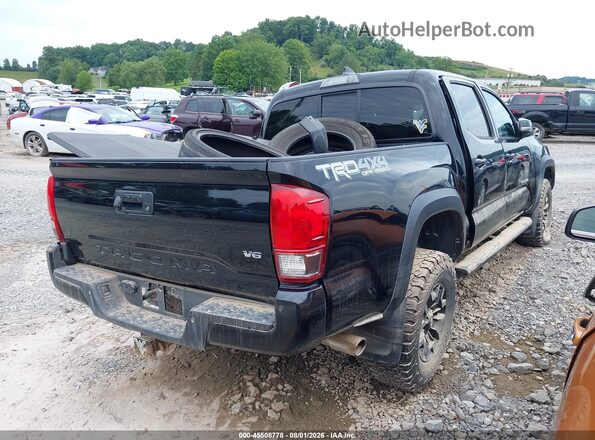 5TFCZ5AN8GX040256 2016 TOYOTA TACOMA Black Tył prawy
