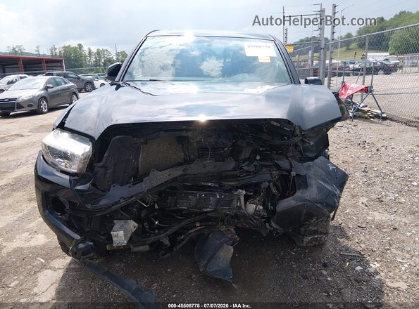 5TFCZ5AN8GX040256 2016 TOYOTA TACOMA Black Widok wnętrza z tyłu