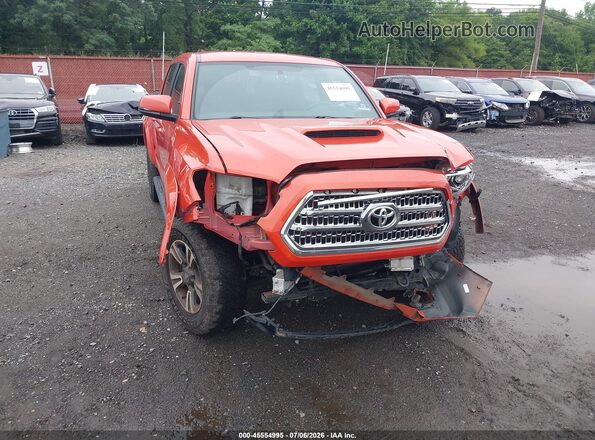 5TFCZ5AN9HX116519 2017 TOYOTA TACOMA Orange 