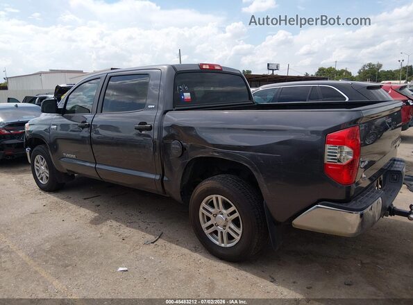 5TFDW5F11HX666395 2017 TOYOTA TUNDRA Серый Панорамный вид салона 360°