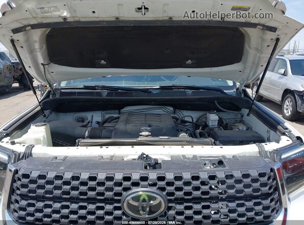5TFDW5F11KX834138 2019 TOYOTA TUNDRA Белый Вид сзади