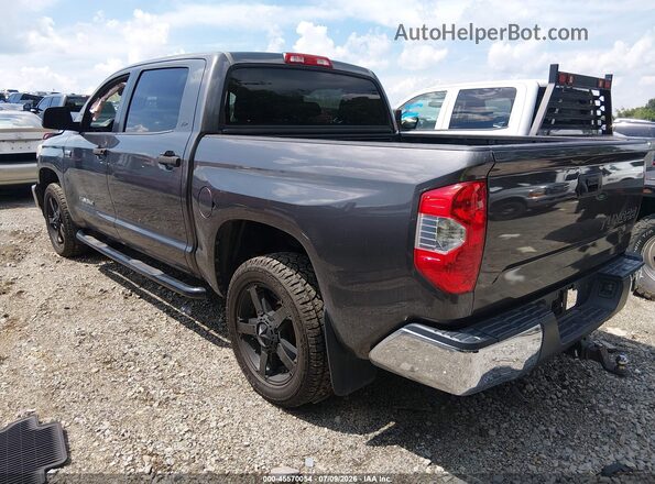 5TFDW5F14HX640096 2017 TOYOTA TUNDRA Gray Հետևի ձախ