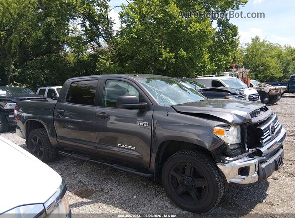 5TFDW5F14HX640096 2017 TOYOTA TUNDRA Gray Սալոնի հետևի տեսք