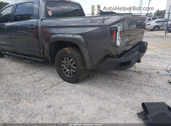 5TFDW5F19HX587587 2017 TOYOTA TUNDRA Gray Հետևի ձախ
