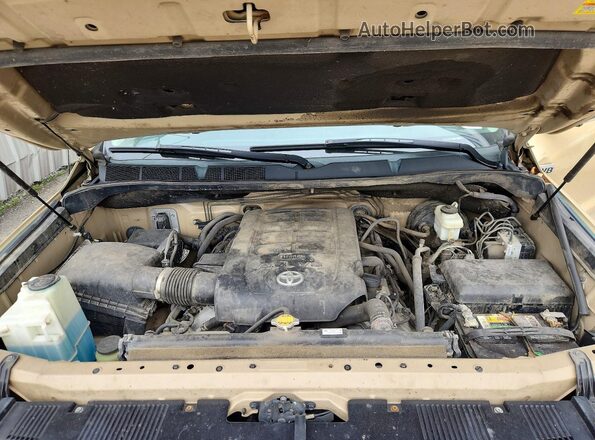 5TFDW5F19HX672302 2017 TOYOTA TUNDRA Tan Սալոնի հետևի տեսք