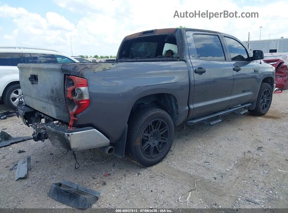 5TFDW5F1XKX785439 2019 TOYOTA TUNDRA Gray Tył prawy