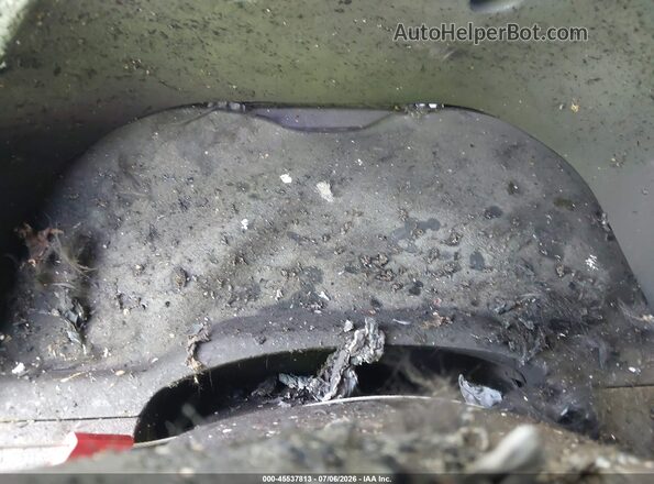 5TFDW5F1XKX785439 2019 TOYOTA TUNDRA Gray Widok tylnych siedzeń