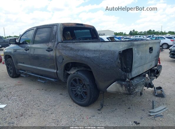 5TFDW5F1XKX785439 2019 TOYOTA TUNDRA Gray Tył lewy