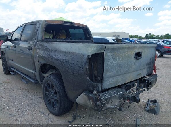 5TFDW5F1XKX785439 2019 TOYOTA TUNDRA Gray Widok z przodu
